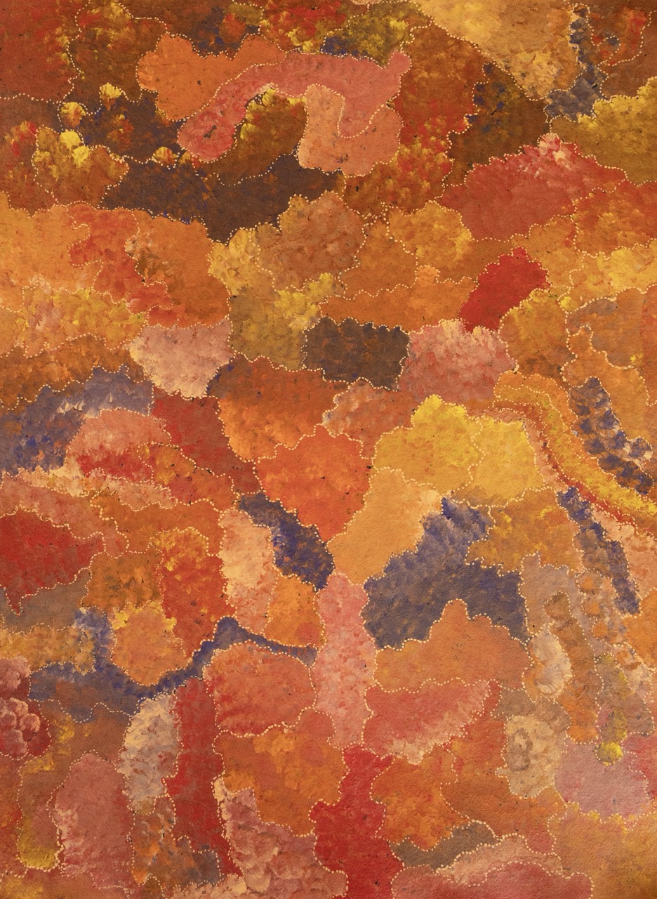 View Of Country - Painting - Melissa Ngwarraye Long