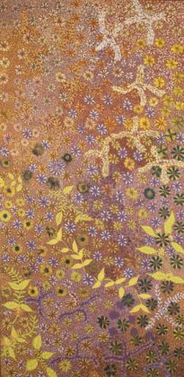 Colleen Ngwarraye Morton - Women's Ceremony and Bush Medicine - Painting - Colleen Ngwarraye Morton