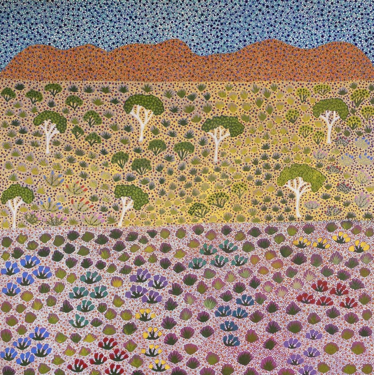 Diane Kemarre Ross - My Country - Painting - Diane Kemarre Ross