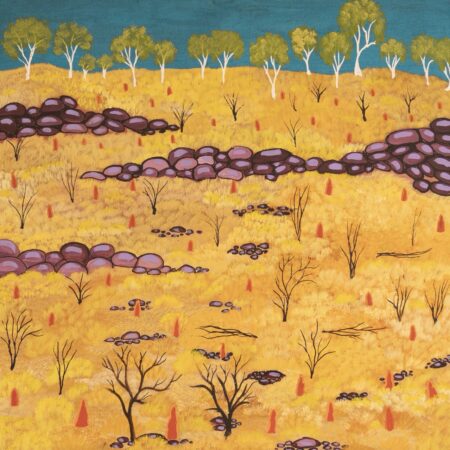 Selina Pula Teece - My Fathers Country - Painting - Selina Pula Teece