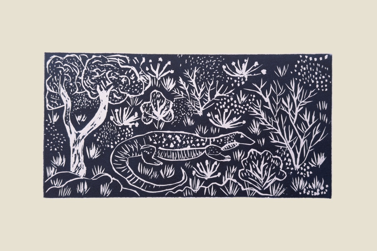 Elizabeth Ngwarraye Bonney - Sand Goanna - Print - Elizabeth Ngwarraye  Bonney