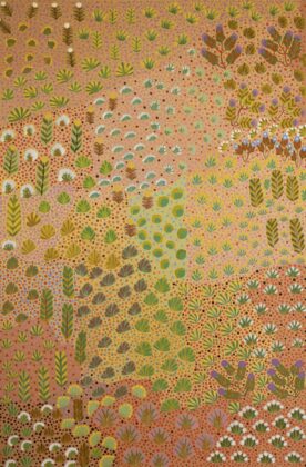 Kindy Kemarre Ross - Irrultja is My Country - Painting - Kindy Kemarre Ross
