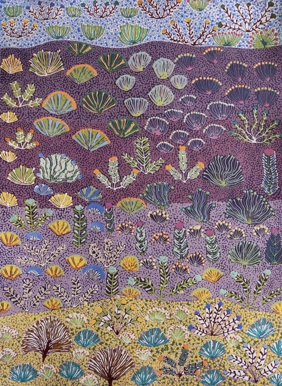 Julieanne Ngwarraye Morton - Atyenh Amper (My Country) My Bush Medicine - Works On Paper - Julieanne Ngwarraye Morton