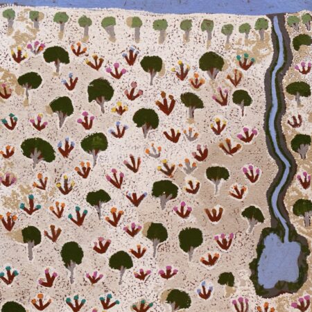 Susan Ngwarraye Philomac - Spring Creek - Works On Paper - Susan  Ngwarraye Philomac