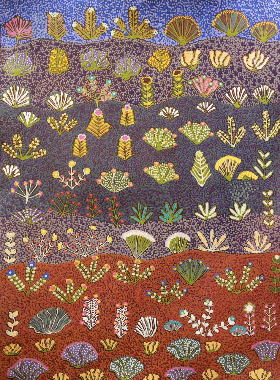 Julieanne Ngwarraye Morton - Alpeyt Alpeyt (Flowers Blooming) - Works On Paper - Julieanne Ngwarraye Morton