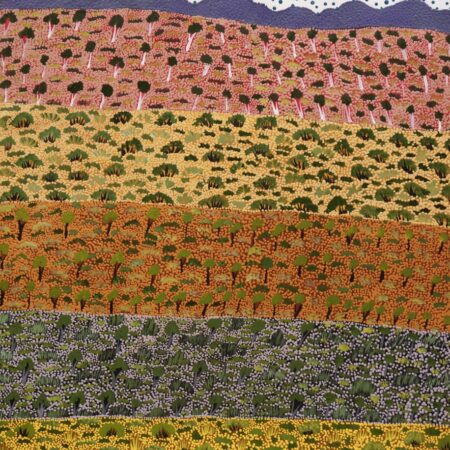 Denise Ngwarraye Bonney - Tijamburra, My Grandmothers Country - Painting - Denise Ngwarraye Bonney