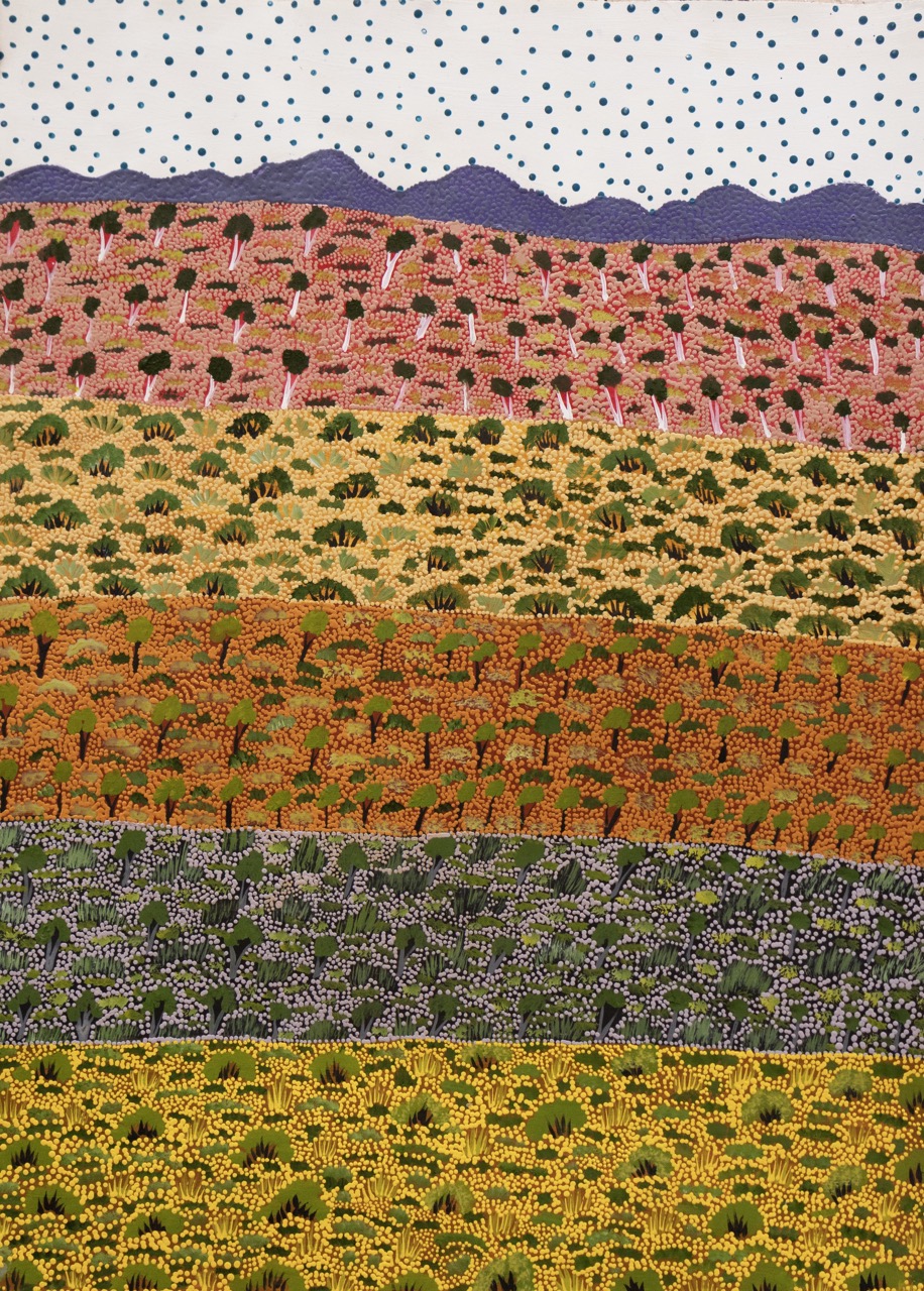 Denise Ngwarraye Bonney - Tijamburra, My Grandmothers Country - Painting - Denise Ngwarraye Bonney