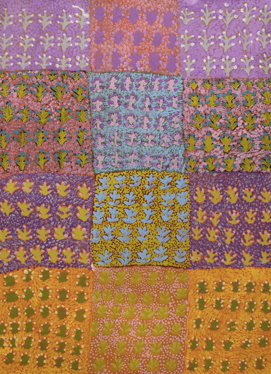 Rosie Kemarre Morton - Atyenh Aknyey Amper (My Father's Country) and Bush Medicine - Works On Paper - Rosie Kemarre Morton