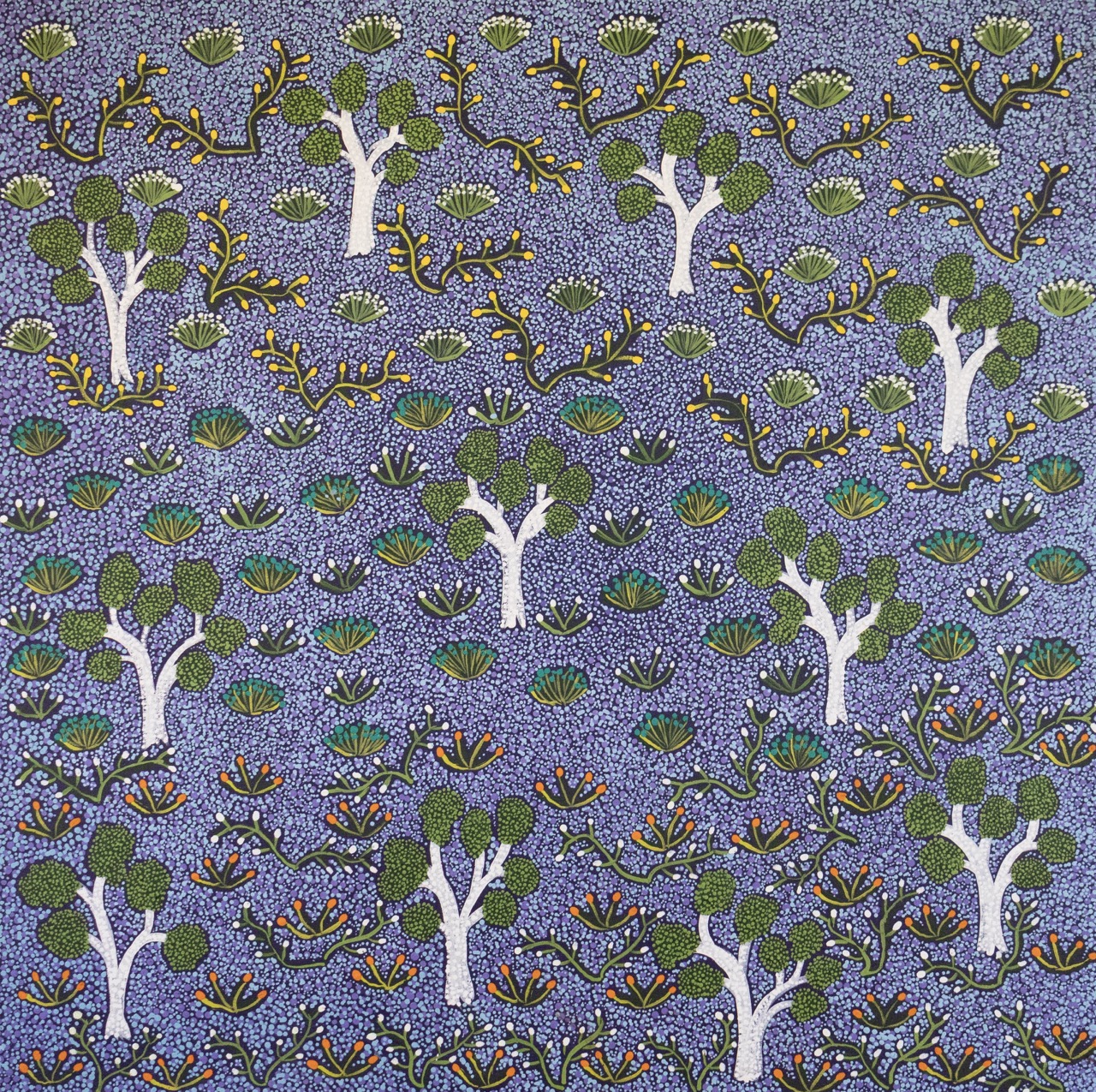 Alana Ngwarraye Holmes - Atyenh Amper (My Country) - Painting - Alana  Ngwarraye Holmes