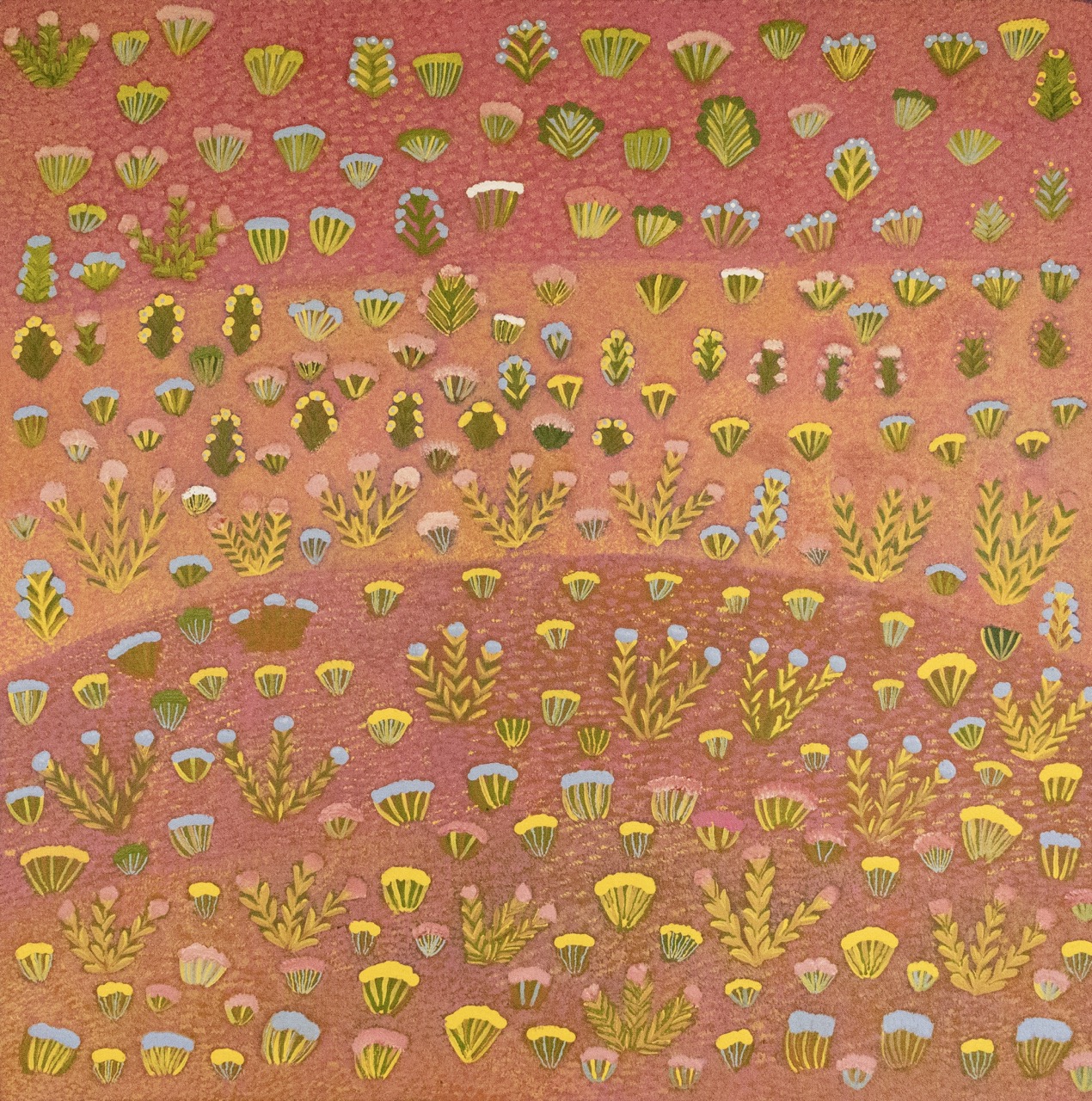 Lilly Kemarre Morton - Antarrengeny, My Country - Painting - Lilly Kemarre Morton