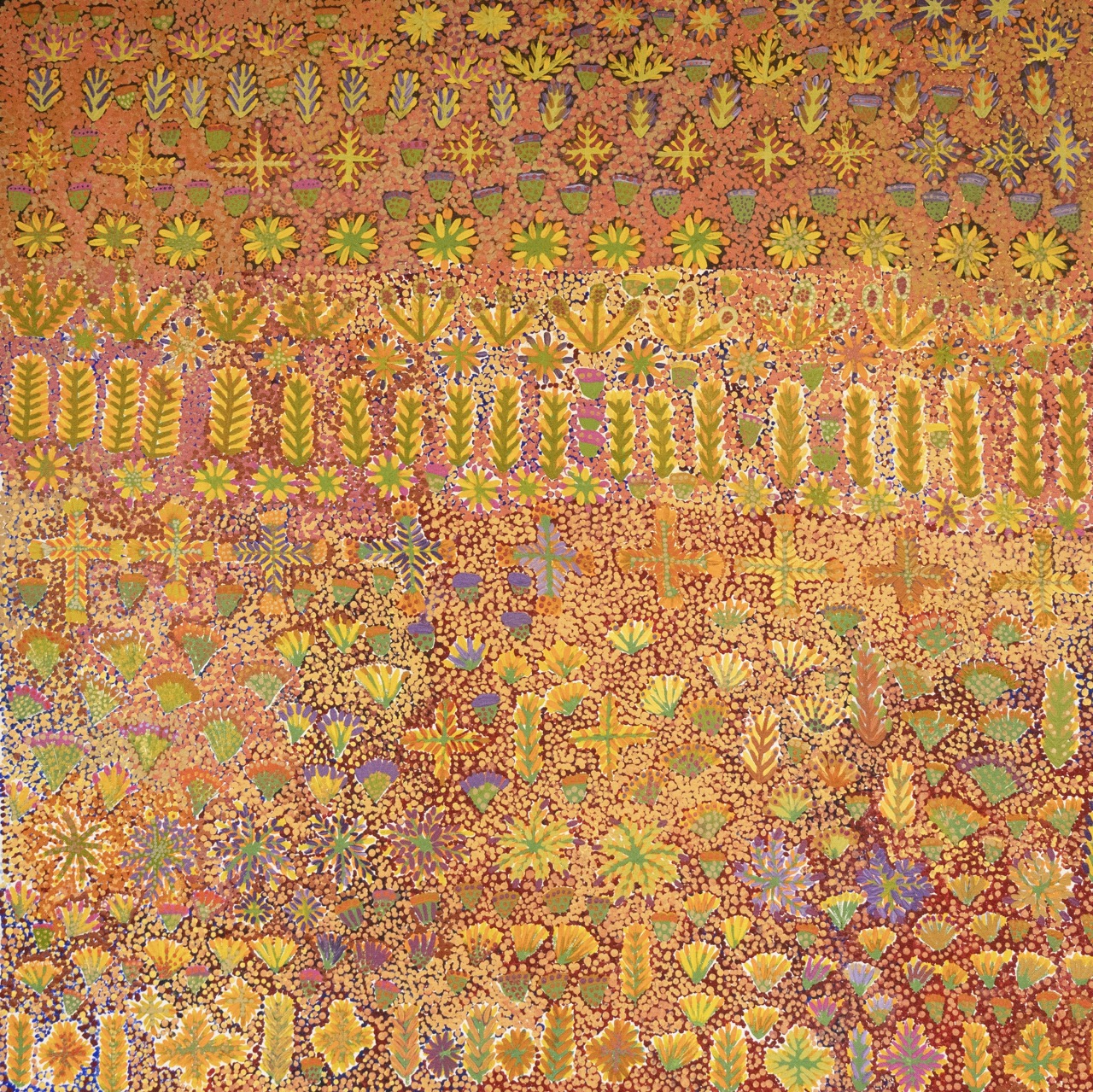 Daisy Kemarre Turner - Irrultja, My Country - Painting - Daisy Kemarre Turner