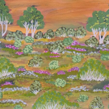 Elizabeth Ngwarraye Bonney - Flowers and Fairies - Works On Paper - Elizabeth Ngwarraye  Bonney