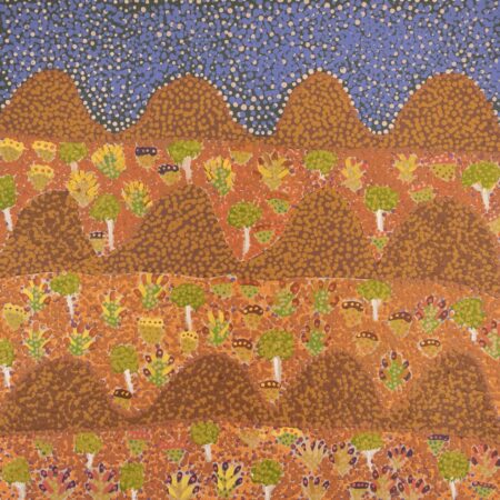 Desma Ngwarraye Turner - Atyenh Amper - (My Country) - Painting - Desma Ngwarraye Turner