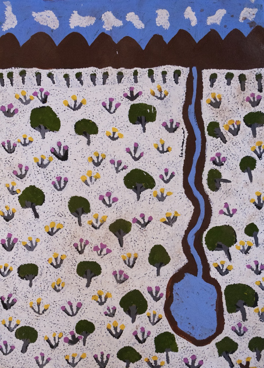 Susan Ngwarraye Philomac - Spring Creek - Works On Paper - Susan  Ngwarraye Philomac