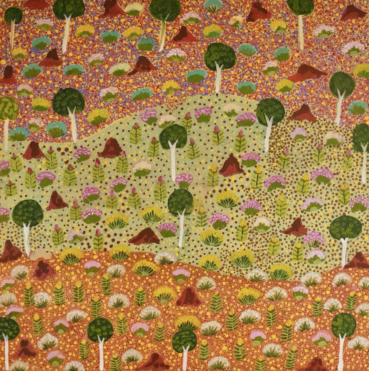 Jerome Ngwarraye Petrick - Atyenh Amper - (My Country) - Painting - Jerome  Ngwarraye Petrick