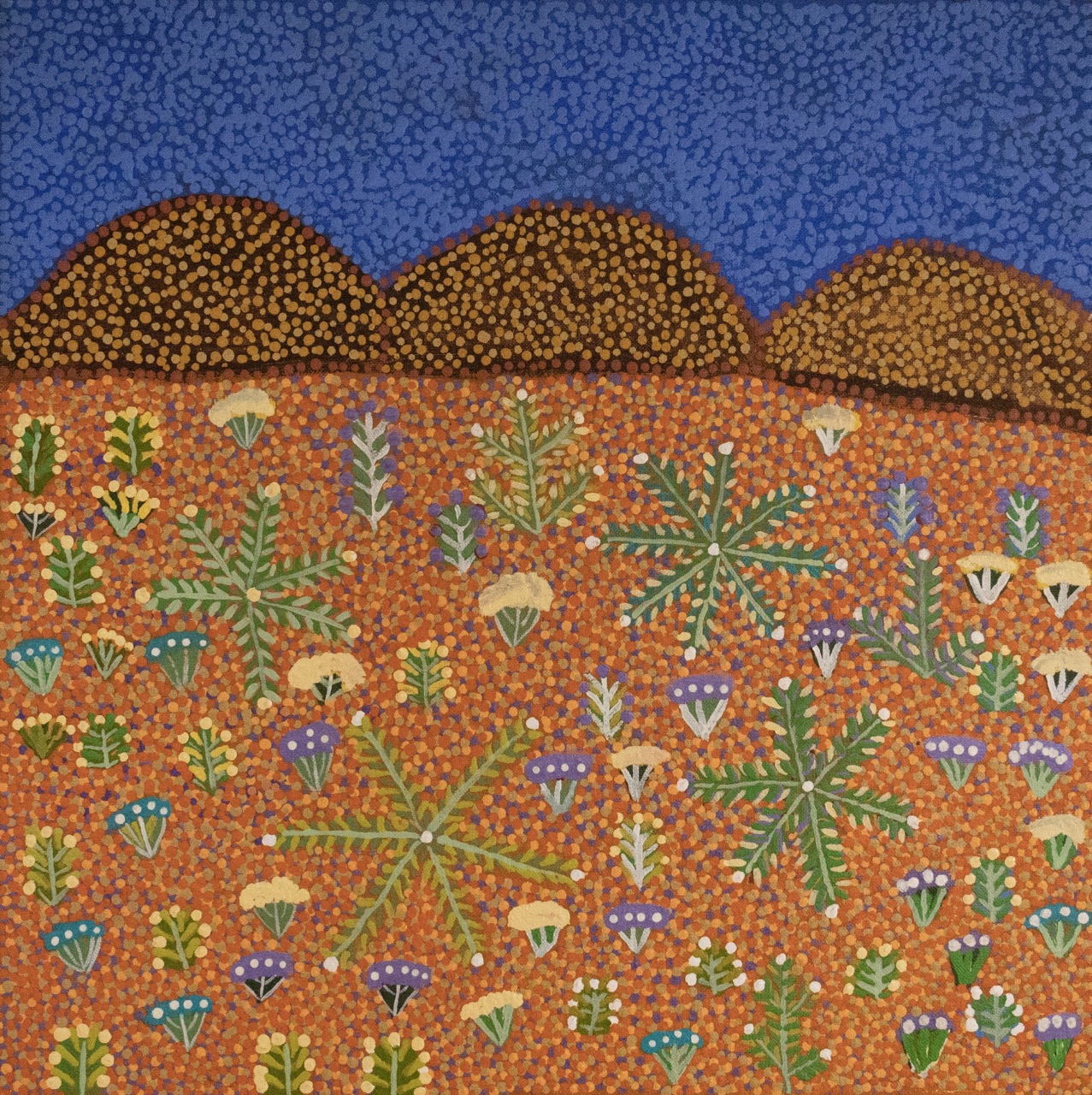 Rosemary Ngwarraye Turner - My Landscapes - Painting - Rosemary Ngwarraye Turner