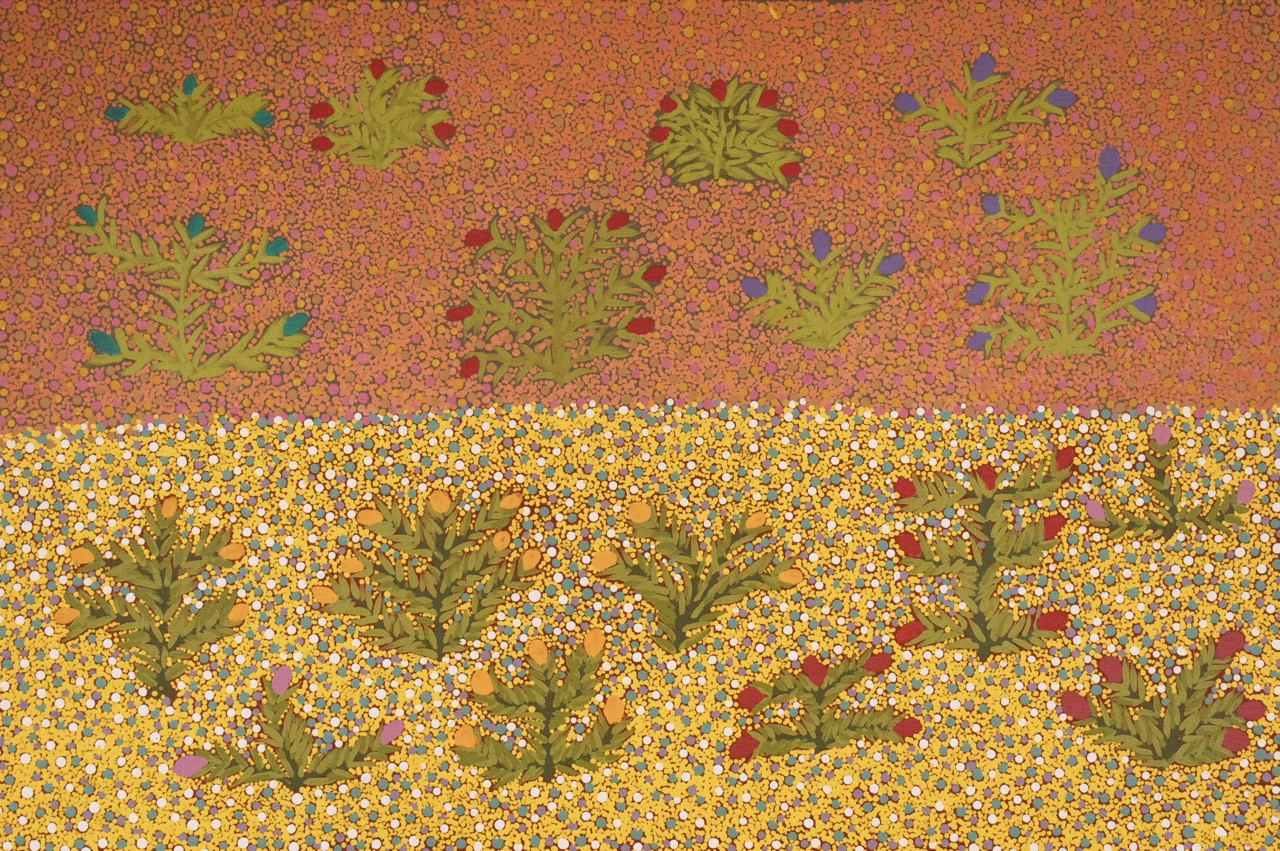 Jessie Ngwarraye Ross - Atyenh Amper (My Country) - Painting - Jessie Pula Luck