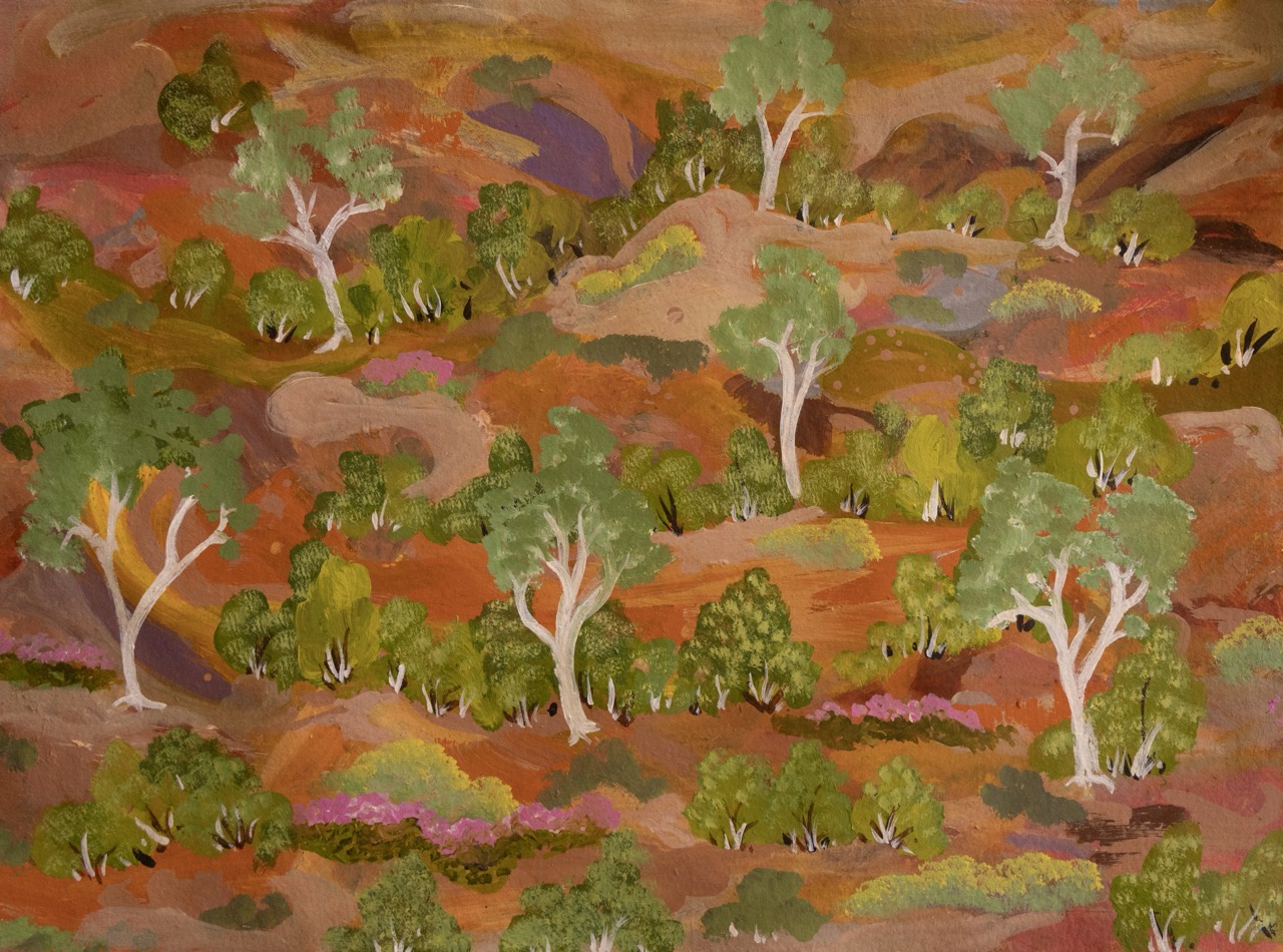 Elizabeth Ngwarraye Bonney - Atyenh Anyany Amper (My Grandmothers Country) - Works On Paper - Elizabeth Ngwarraye  Bonney