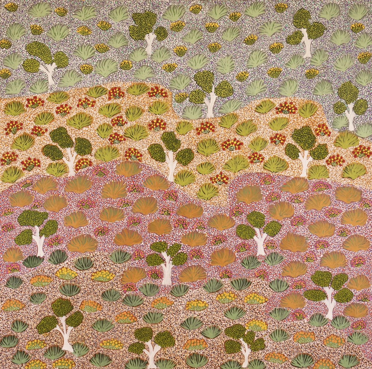 Edie Kemarre Holmes - Antarrengeny - Painting - Edie Kemarre Holmes
