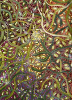 Leanne Pula Teece - Arrweneng (Bush Passion Flower) - Works On Paper - Leanne Pula Teece