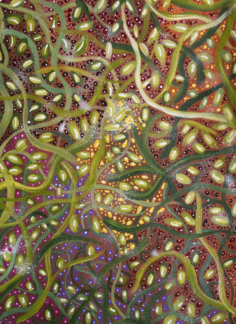 Leanne Pula Teece - Arrweneng (Bush Passion Flower) - Works On Paper - Leanne Pula Teece