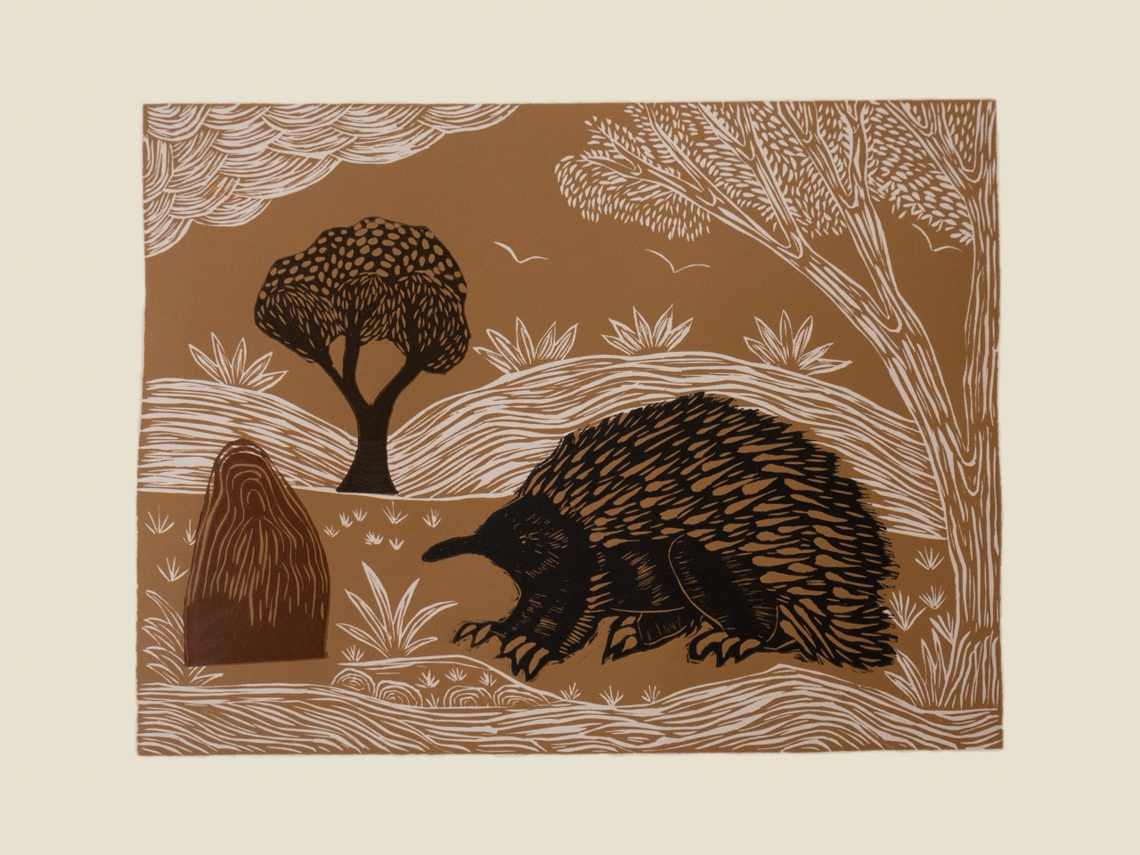 Jacinta Pula Morrison - Inap Awangk (Echidna Hunting) - Print - Jacinta Pula Morrison