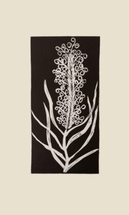 Joyanne Pitjara Morton - Tharrkarr (Honey Grevillea) - Print - Joyanne Pitjara Morton