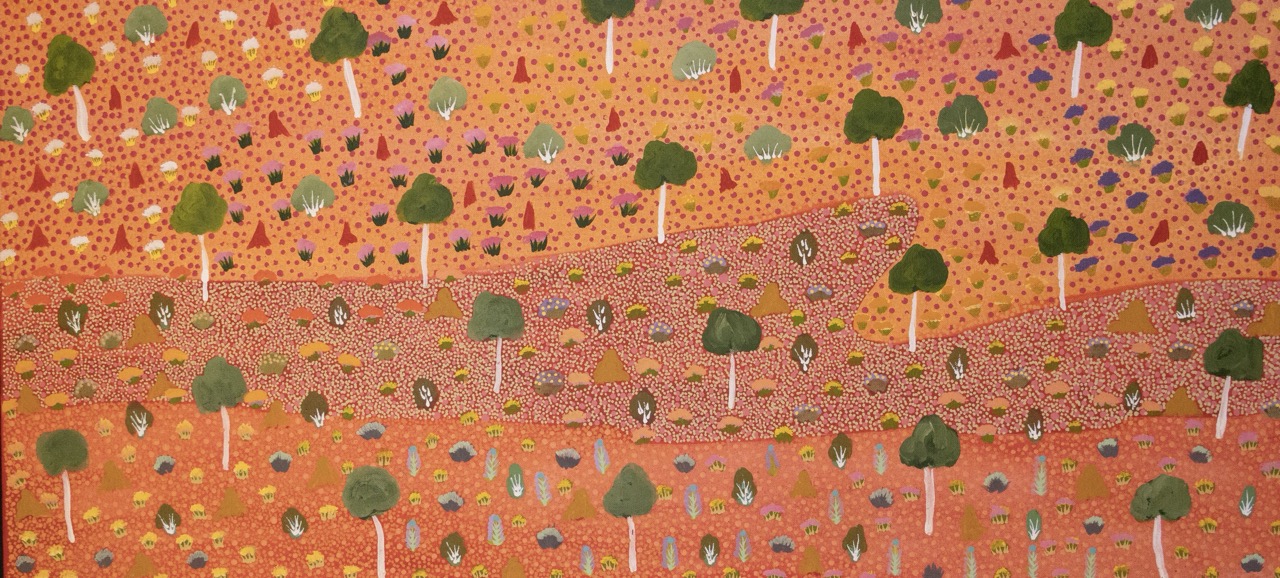 Jerome Ngwarraye Petrick - Atyenh Amper - (My Country) - Painting - Jerome  Ngwarraye Petrick
