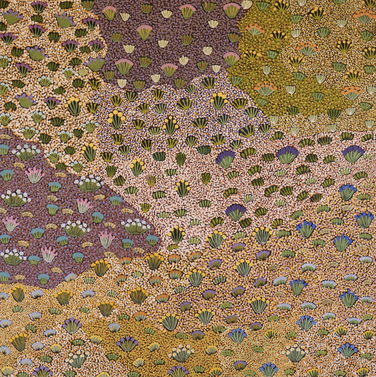 Jessie Ngwarraye Ross - Atyenh Amper (My Country) - Painting - Jessie Ngwarraye Ross