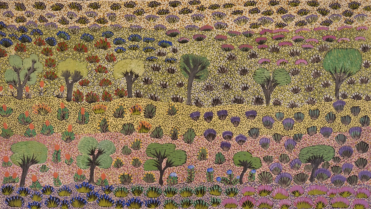 Julieanne Ngwarraye Morton - Atyenh Amper (My Country) My Bush Medicine - Painting - Julieanne Ngwarraye Morton