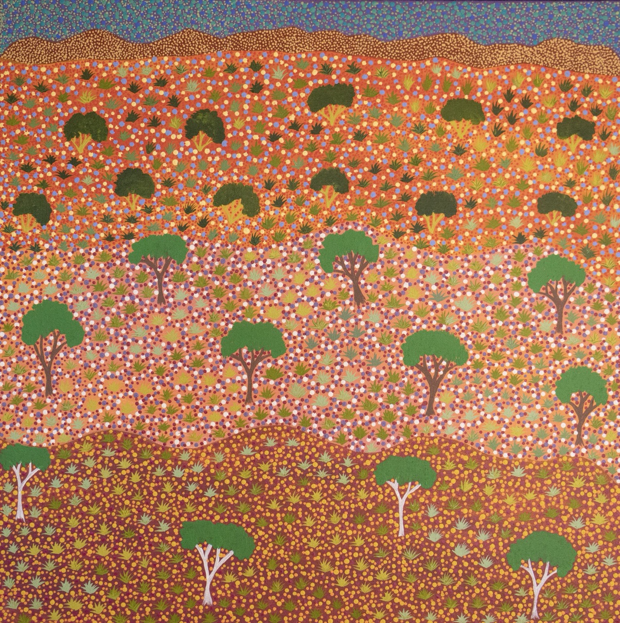Diane Kemarre Ross - Atyenh Amper (My Country) - Painting - Diane Kemarre Ross
