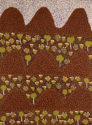 Desma Ngwarraye Turner - Atyenh Amper - (My Country) - Painting - Desma Ngwarraye Turner