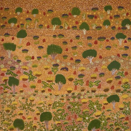 Leanne Pula Teece - Anterrengeny - My Father's Country - Painting - Leanne Pula Teece