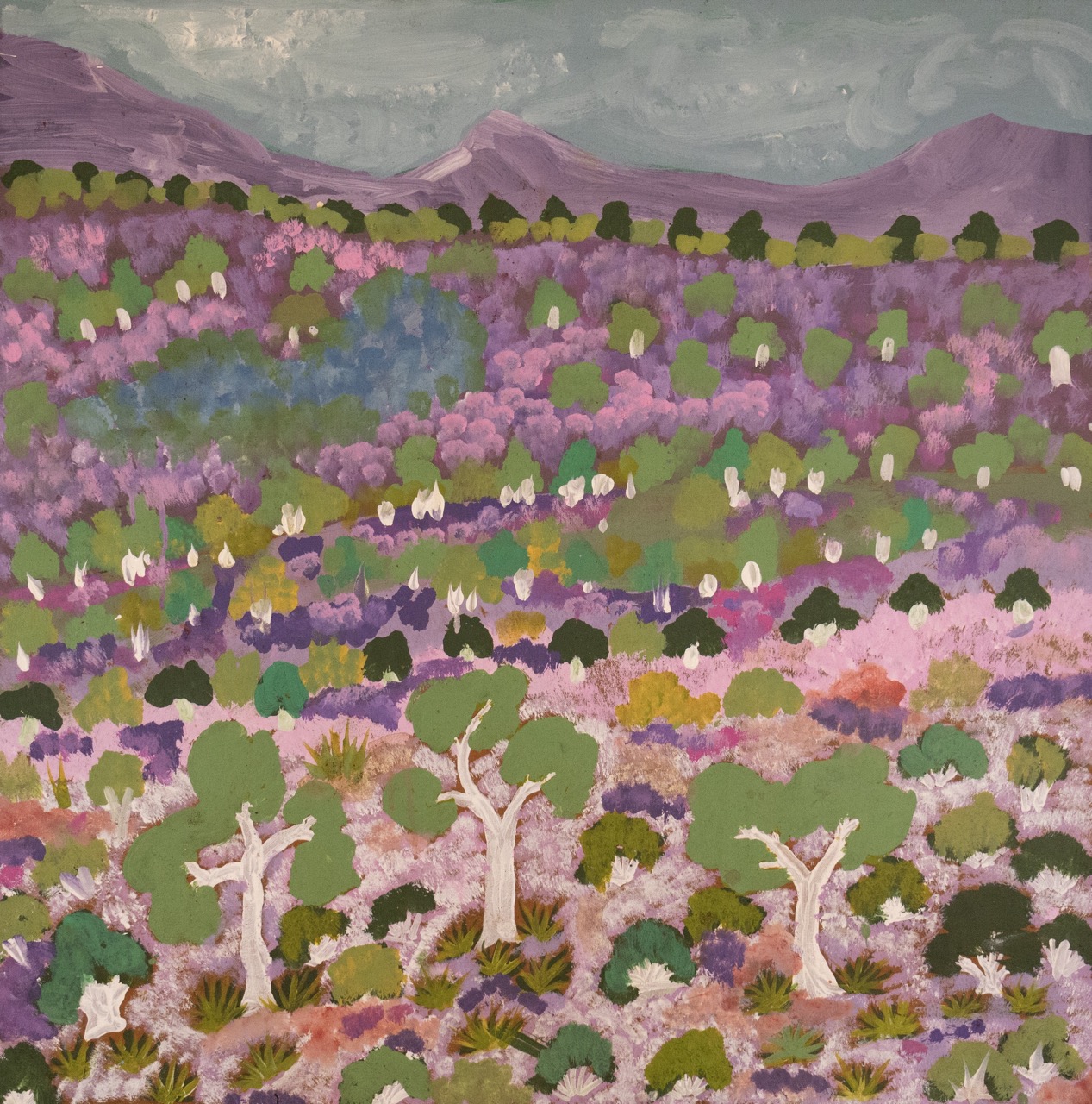 Eileen Kemarre Bonney - Tijamburra, My Mothers Country - Painting - Eileen Kemarre Bonney