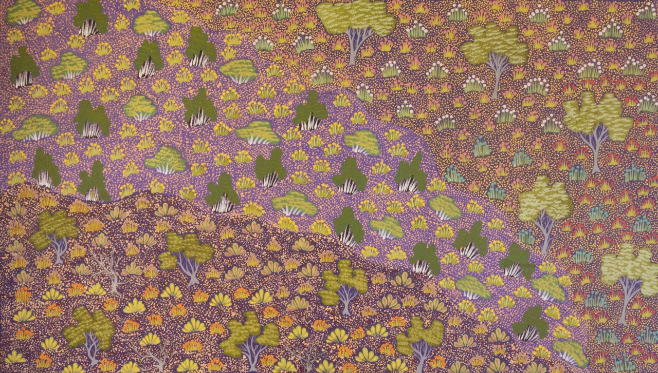 Sevania Kemarre Bonney - Atyenh Anyany Amper (My Great Grandmothers Country) - Painting - Sevania Kemarre Bonney
