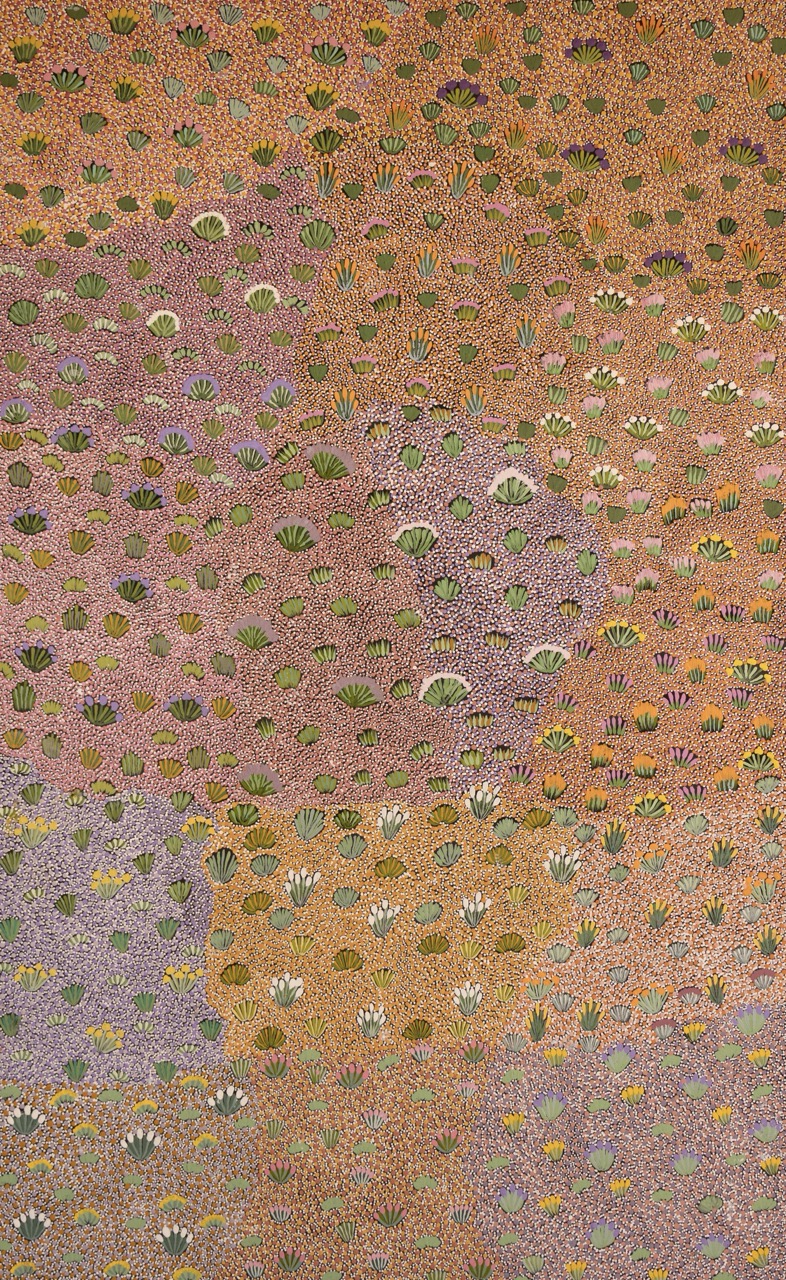 Jessie Ngwarraye Ross - Atyenh Amper (My Country) - Painting - Jessie Ngwarraye Ross