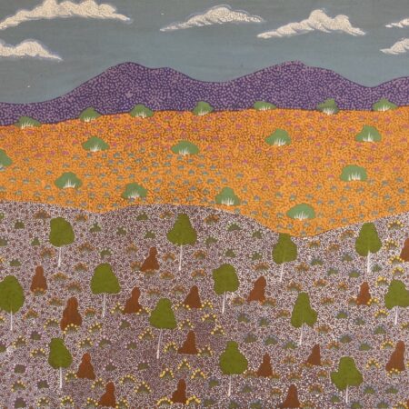 Jerome Ngwarraye Petrick - Atyenh Amper - (My Country) - Painting - Jerome  Ngwarraye Petrick
