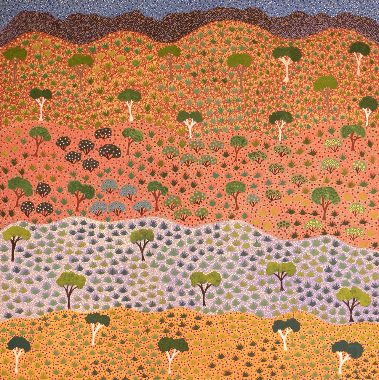 Diane Kemarre Ross - Atyenh Amper (My Country) - Painting - Diane Kemarre Ross