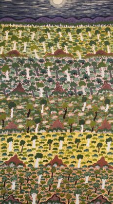 Denise Ngwarraye Bonney - Tijamburra, My Grandmothers Country - Painting - Denise Ngwarraye Bonney