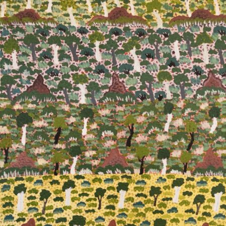Denise Ngwarraye Bonney - Tijamburra, My Grandmothers Country - Painting - Denise Ngwarraye Bonney