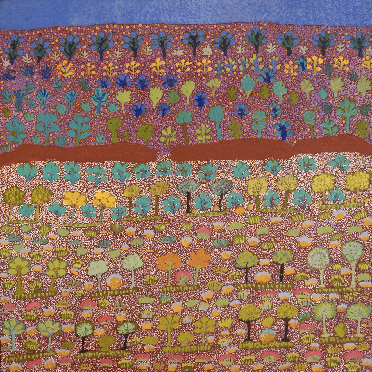 Rosie Kemarre Morton - Atyenh Aknyey Amper (My Father's Country) and Bush Medicine - Painting - Rosie Kemarre Morton