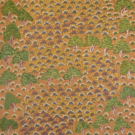 Sevania Kemarre Bonney - Atyenh Anyany Amper (My Great Grandmothers Country) - Painting - Sevania Kemarre Bonney