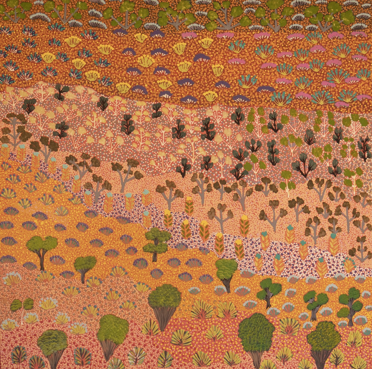 Julieanne Ngwarraye Morton - Atyenh Amper (My Country) My Bush Medicine - Painting - Julieanne Ngwarraye Morton