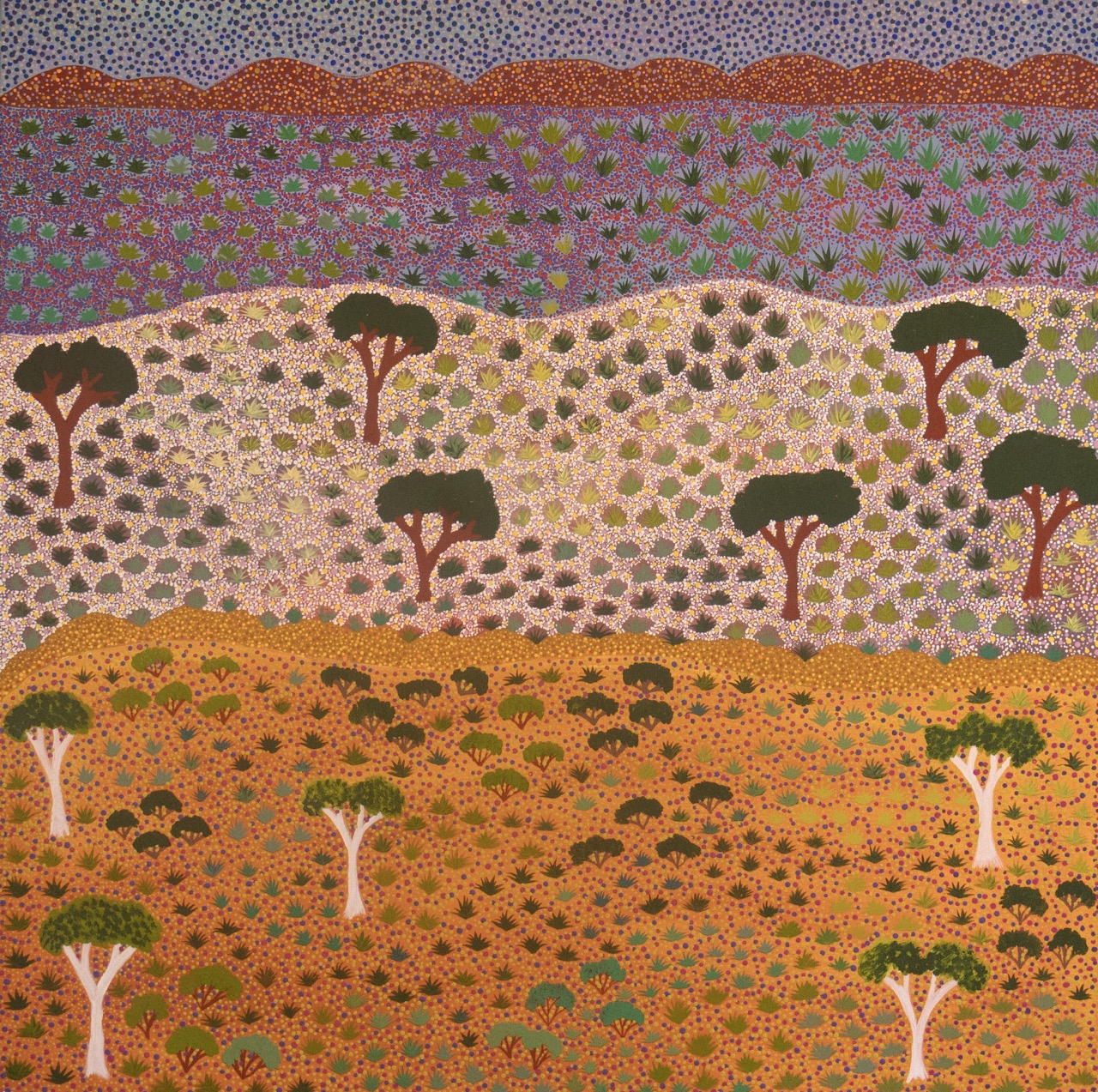 Diane Kemarre Ross - Atyenh Amper (My Country) - Painting - Diane Kemarre Ross