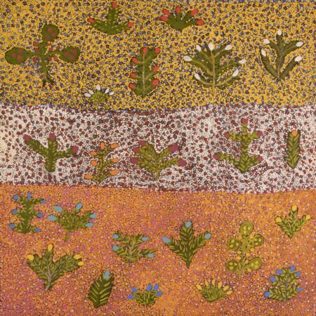 Jessie Pula Luck - Atyenh Artna Arnernp (My Bush Medicine) - Painting - Jessie Pula Luck