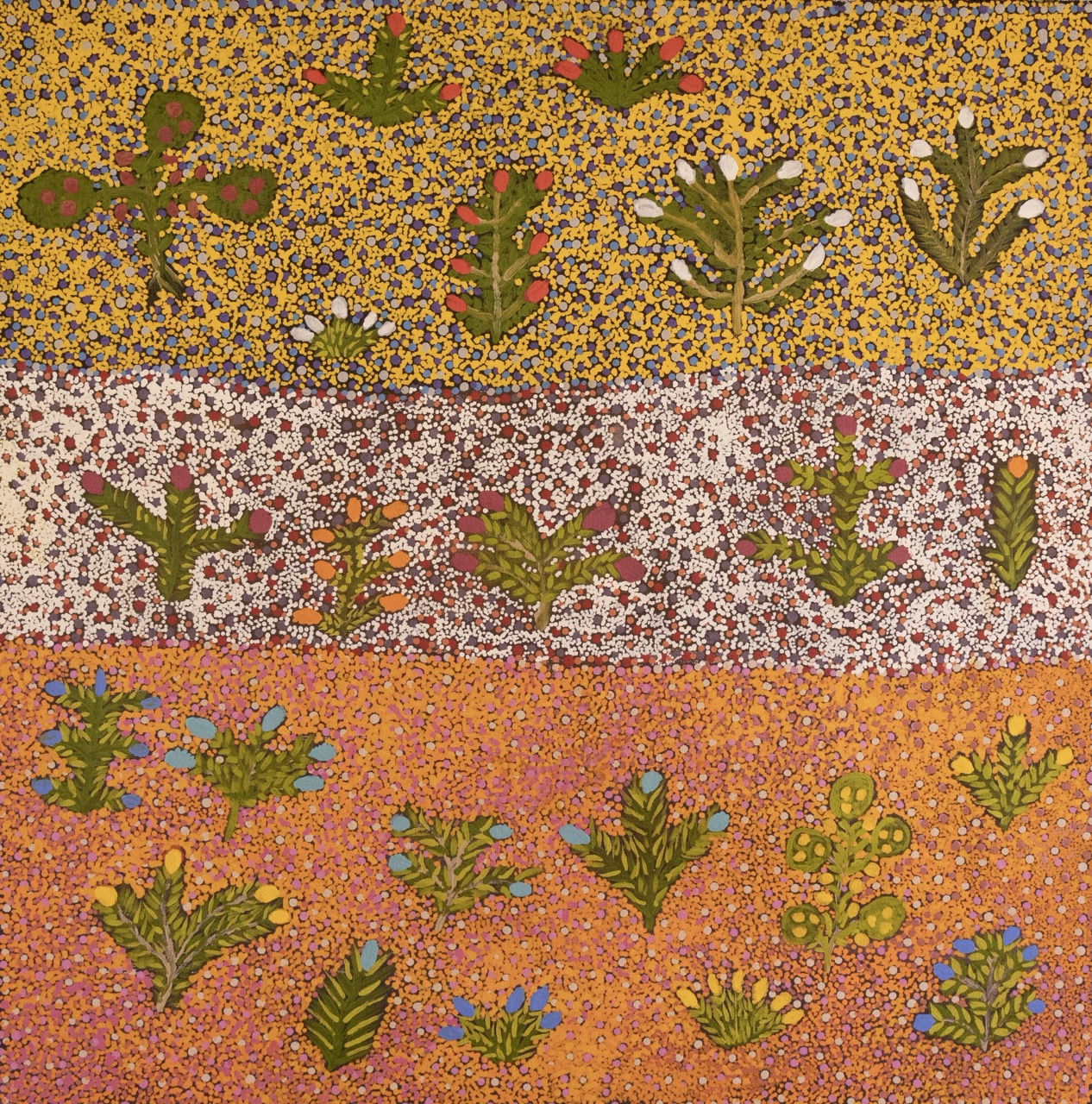 Jessie Pula Luck - Atyenh Artna Arnernp (My Bush Medicine) - Painting - Jessie Pula Luck