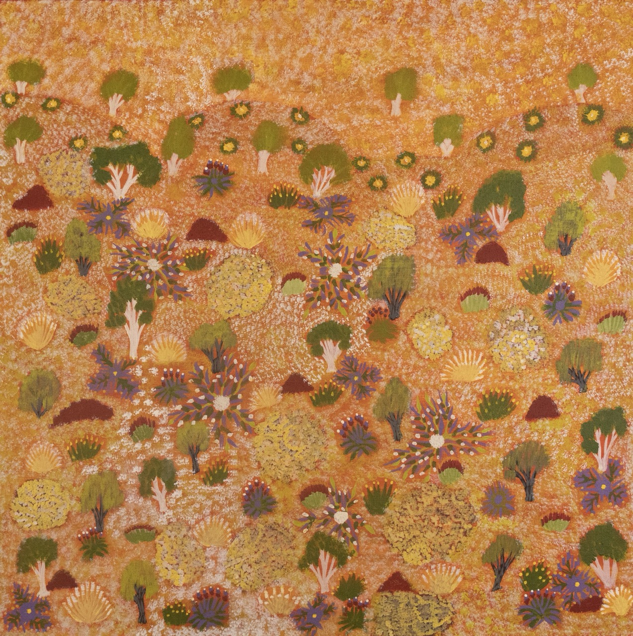 Leanne Pula Teece - Anterrengeny, My Father's Country - Painting - Leanne Pula Teece
