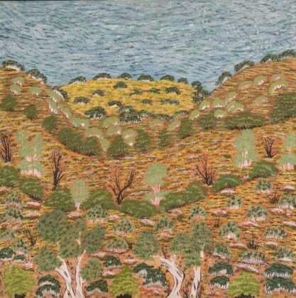 Yvonne Ngwarraye Bonney - My Hunting Country - Painting - Yvonne Ngwarraye  Bonney