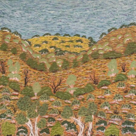 Yvonne Ngwarraye Bonney - My Hunting Country - Painting - Yvonne Ngwarraye  Bonney