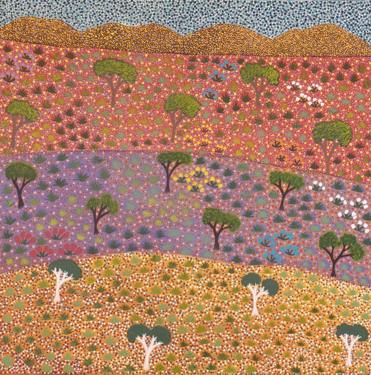 Diane Kemarre Ross - Atyenh Amper (My Country) - Painting - Diane Kemarre Ross